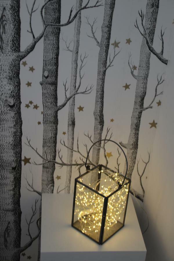 La Fourmi Holiday home